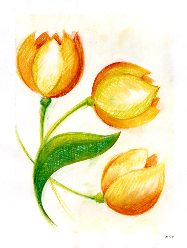 3 флаверса.jpg