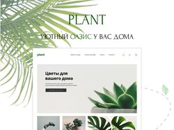 PLANT интернет-магазин растений для дома