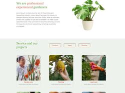 Plants