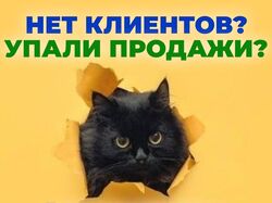 Мое портфолио (указанная цена обговаривается)