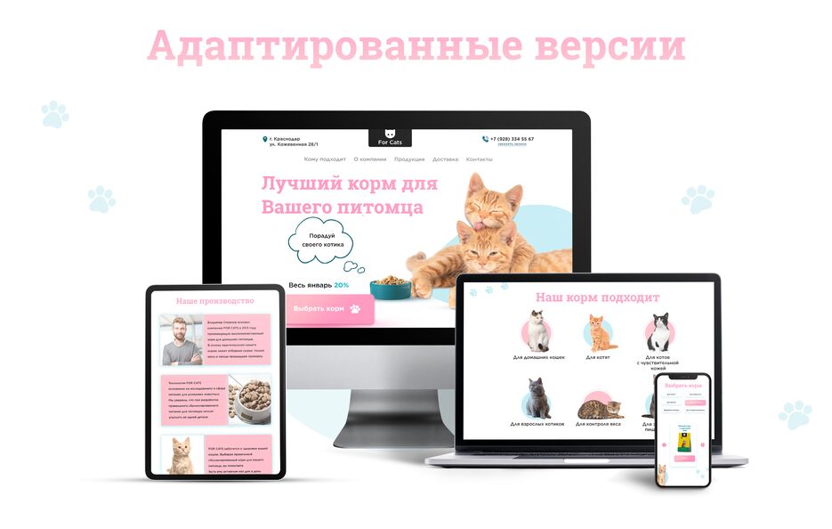 Адаптация.png