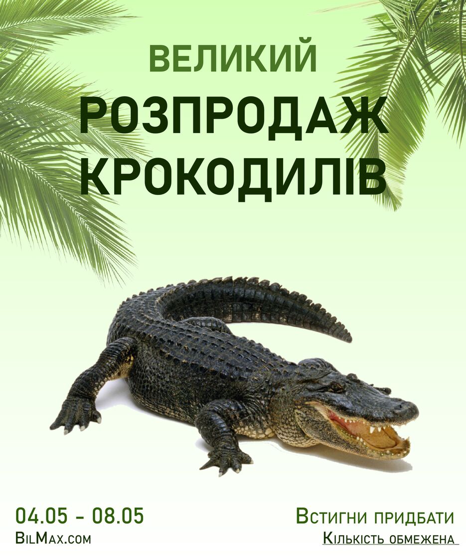 банер-01.png