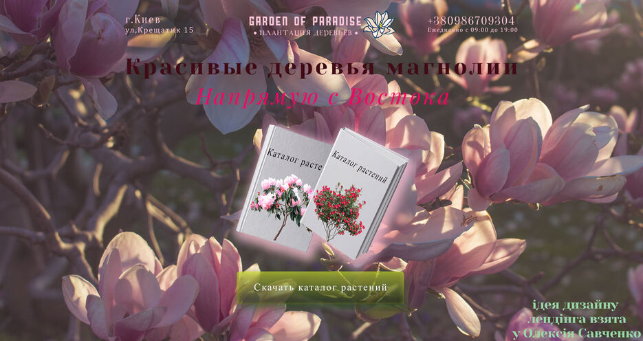 лендинг магнолии.jpg