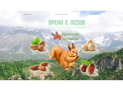 Лендінг  "Горіхи"