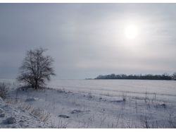 Зимний пейзаж