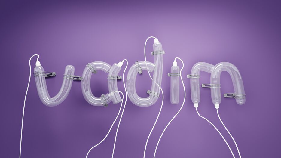 vadim_logo_booble_text_purple.jpg
