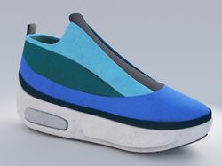 3d Shoose