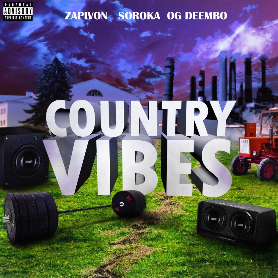 country vibes final.png