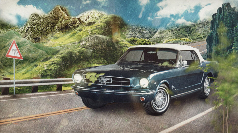 07C7410A-2606-4FAA-A5B8-1B38B9EF330C.jpeg