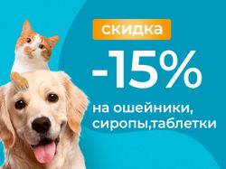 Креатив для зоомагазина