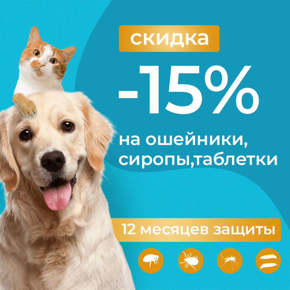 баннер собака.jpg