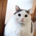 Sofy2448