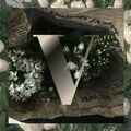 vi_web-designer