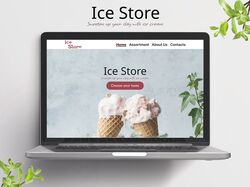 IceStore Site