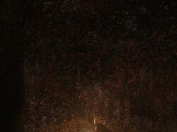 The autumn glow in the dark wilderness