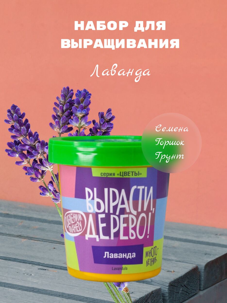 Лаванда.png