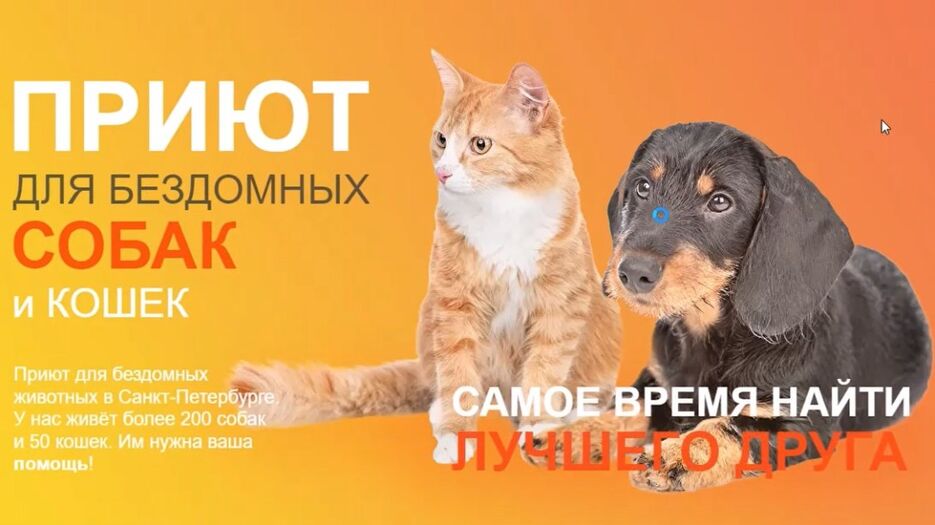 Скриншот 31-03-2022 202507.jpg