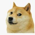MrDoggie0