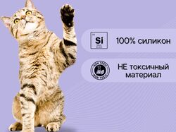 Инфографика 