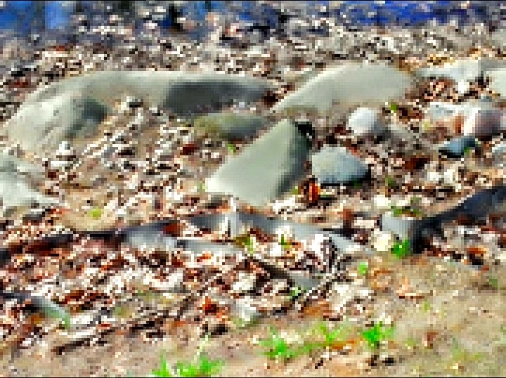 Screenshot_20230426_112059~2.jpg