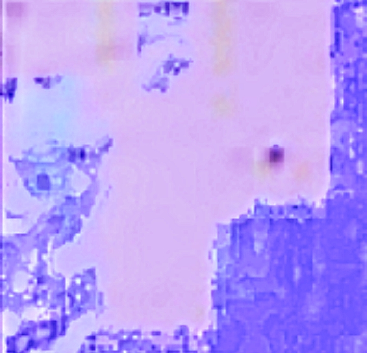 Screenshot_20230611_230148.jpg