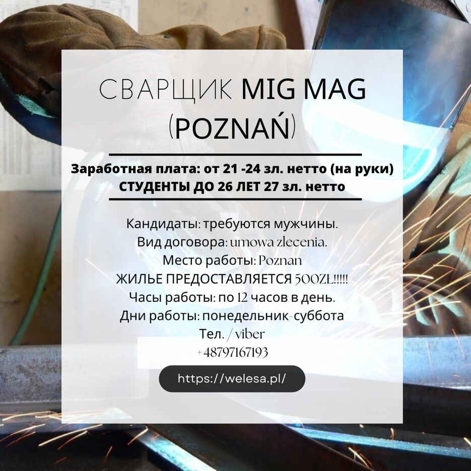 IMG_1347.png