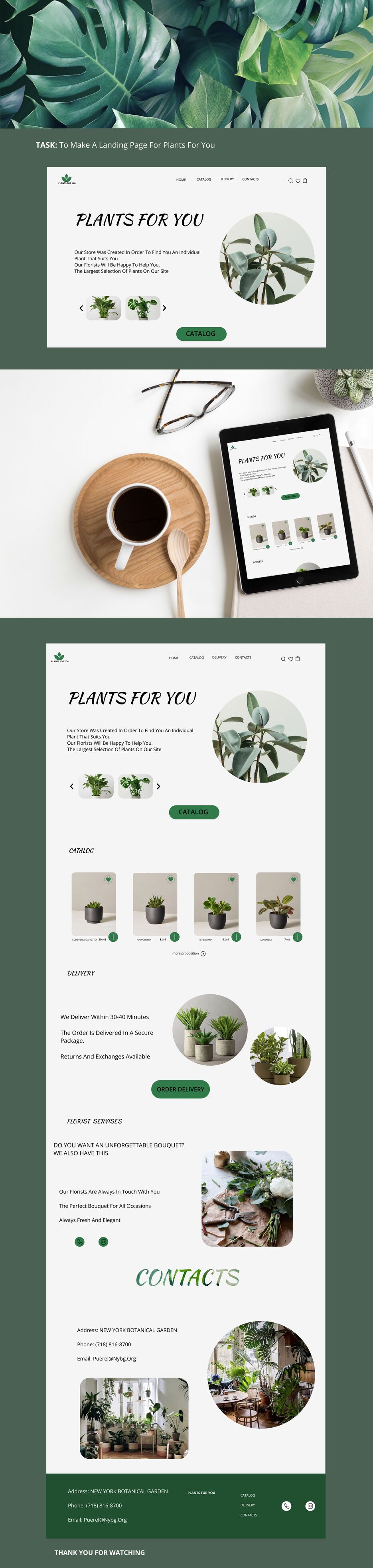 landing pag plants for you.png