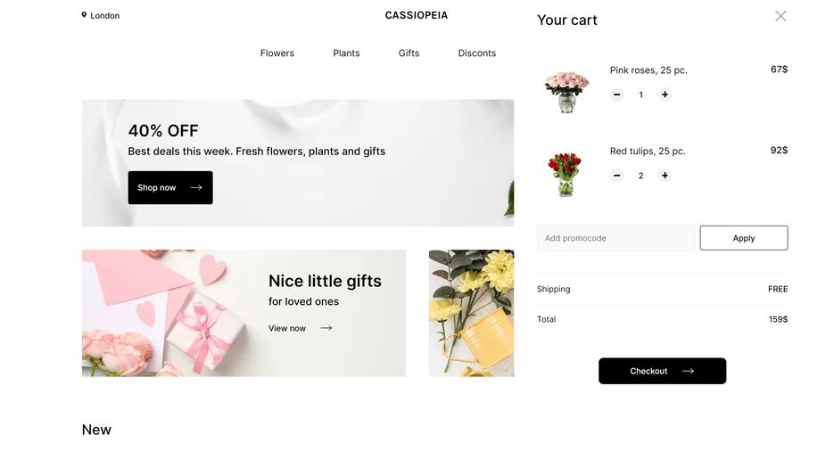 anstsha.github.io_projects_cassiopeia_home.html.png