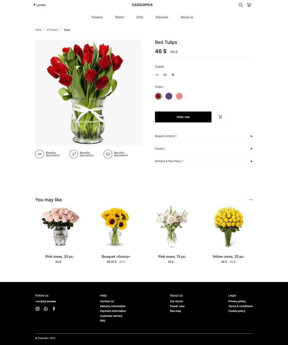screencapture-anstsha-github-io-projects-cassiopeia-product-html-2023-07-16-17_40_20.png