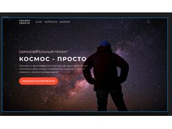 Дизайн лендинга (который потом был разработан на wordpress)