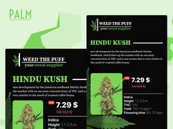 Баннер для западного инстаграм магазина "WEED THE PUFF" 