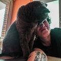 mikacatcode