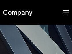Company