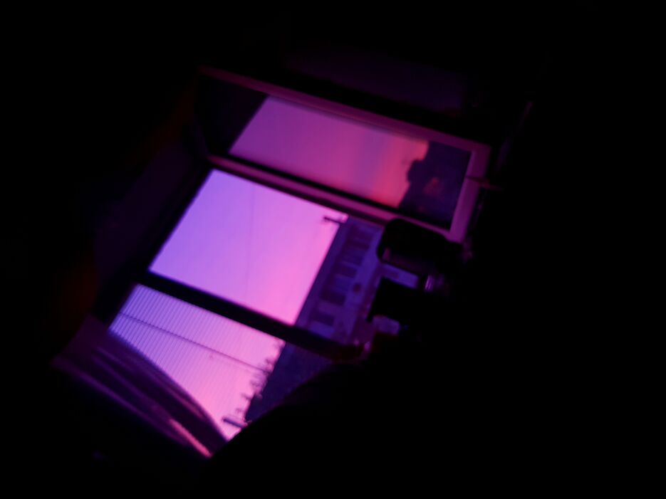 20230714_052948.jpg