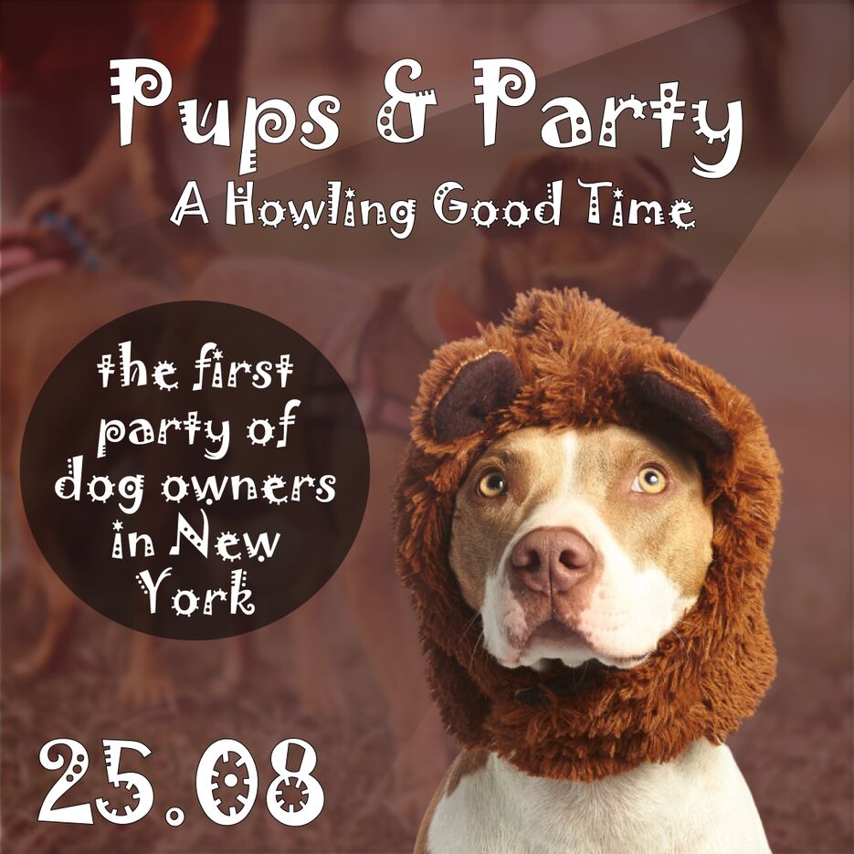 dogparty.png