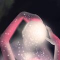 gipsofi_l