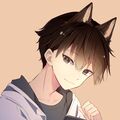 StrayFox