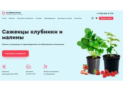 Лендинг под ключ