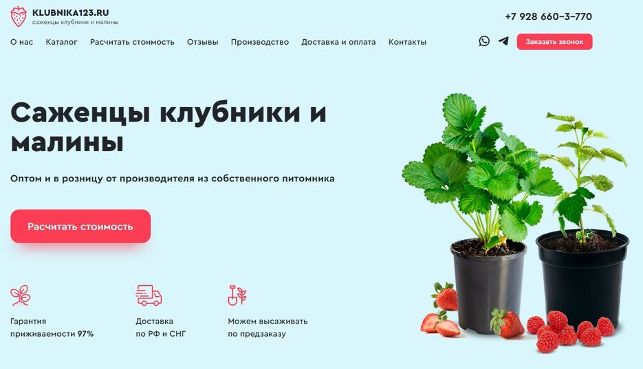 клубника.jpg