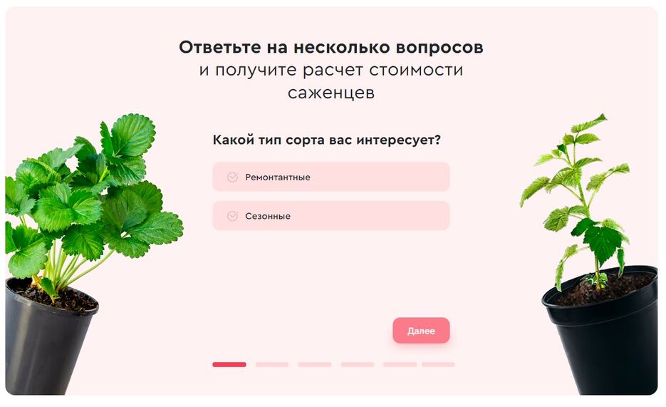 клубника 3.jpg