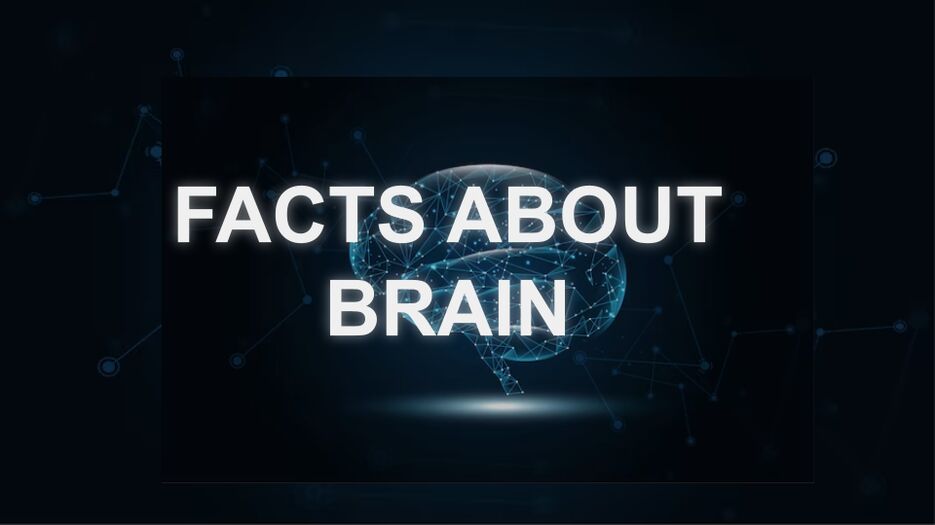 FACTS ABOUT BRAIN.png