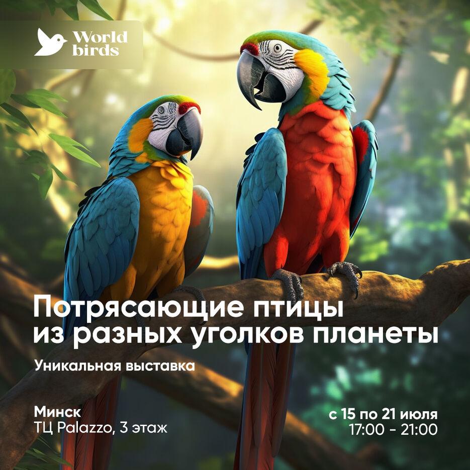 Монтажная область 1.jpg