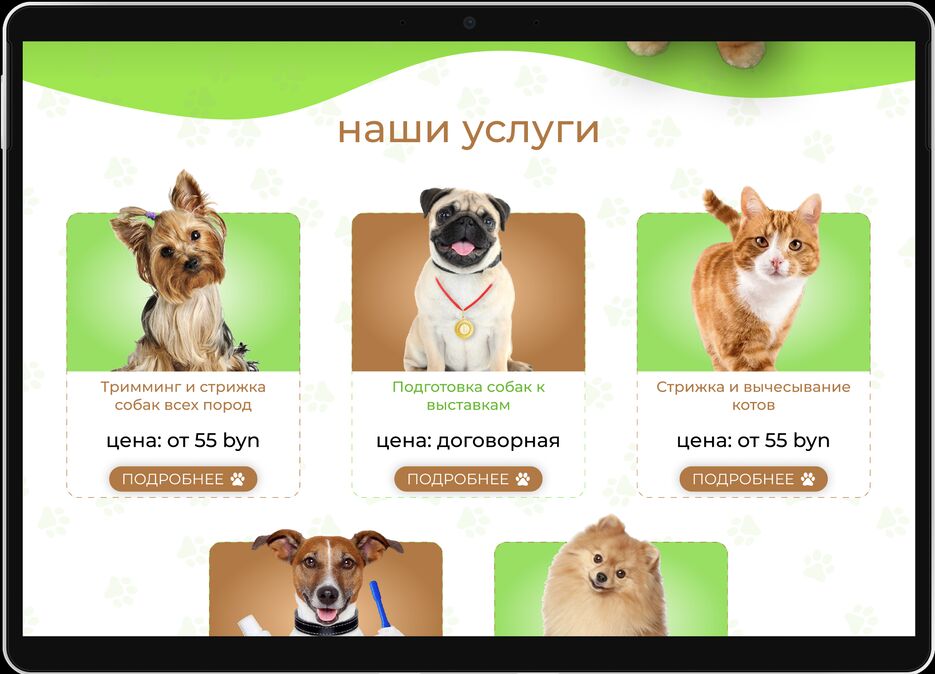 Снимок экрана 2023-08-05 в 18.47.28.png