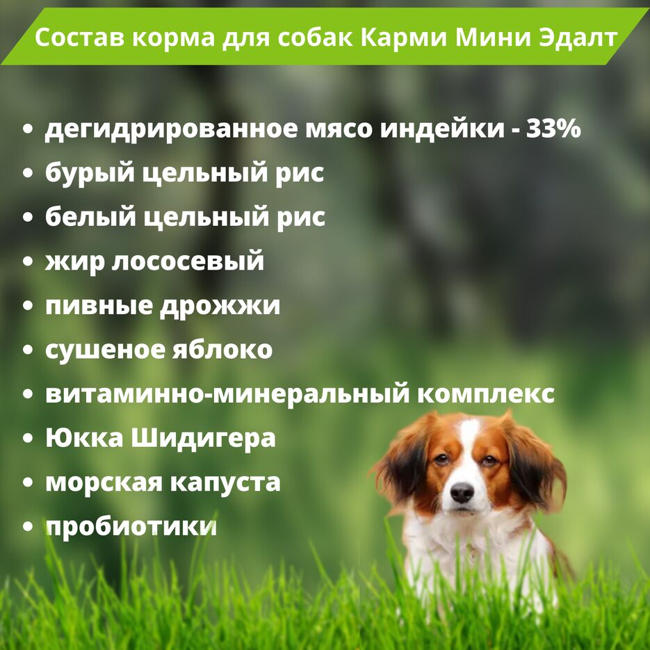 корм для собак3.png