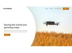 Skydrone