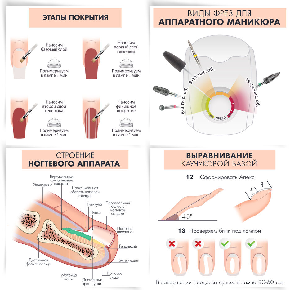 Infographics2.jpg