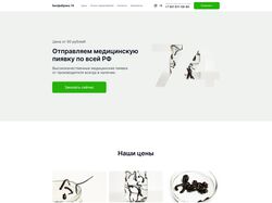 Редизайн сайта Биофабрика 74