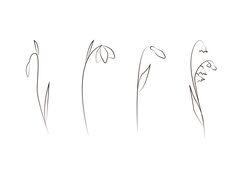 Flowers set