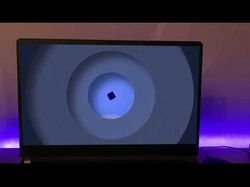 Animation video 