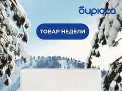 Рекламная компания для кондиционеров "Бирюса"